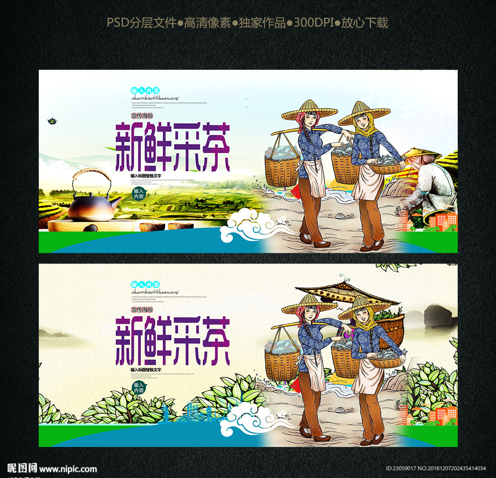 采茶 制茶工艺 茶文化 插画