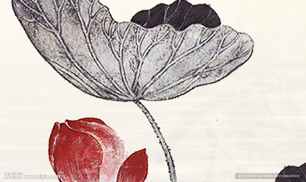 国画荷花