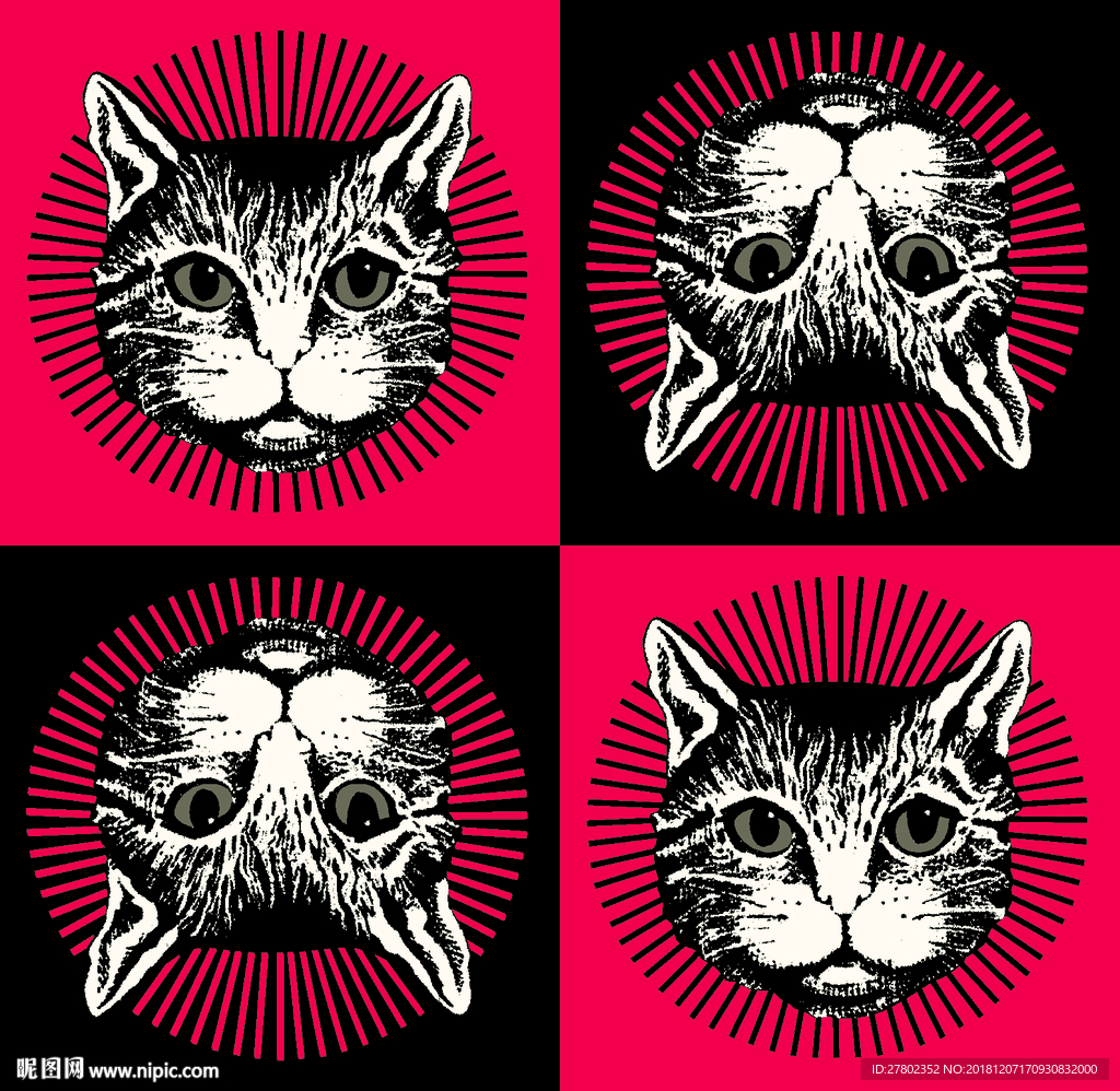 猫头