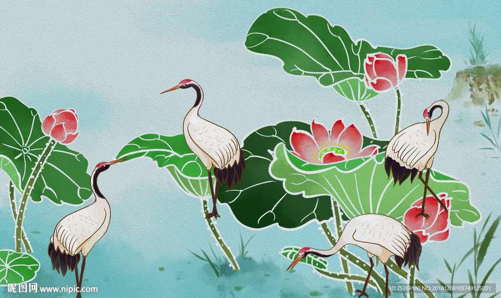 荷花