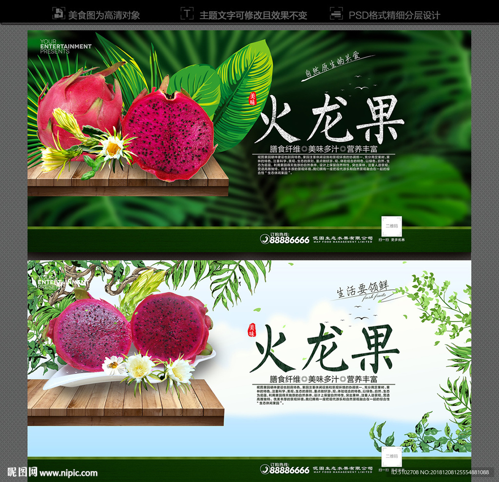 火龙果海报