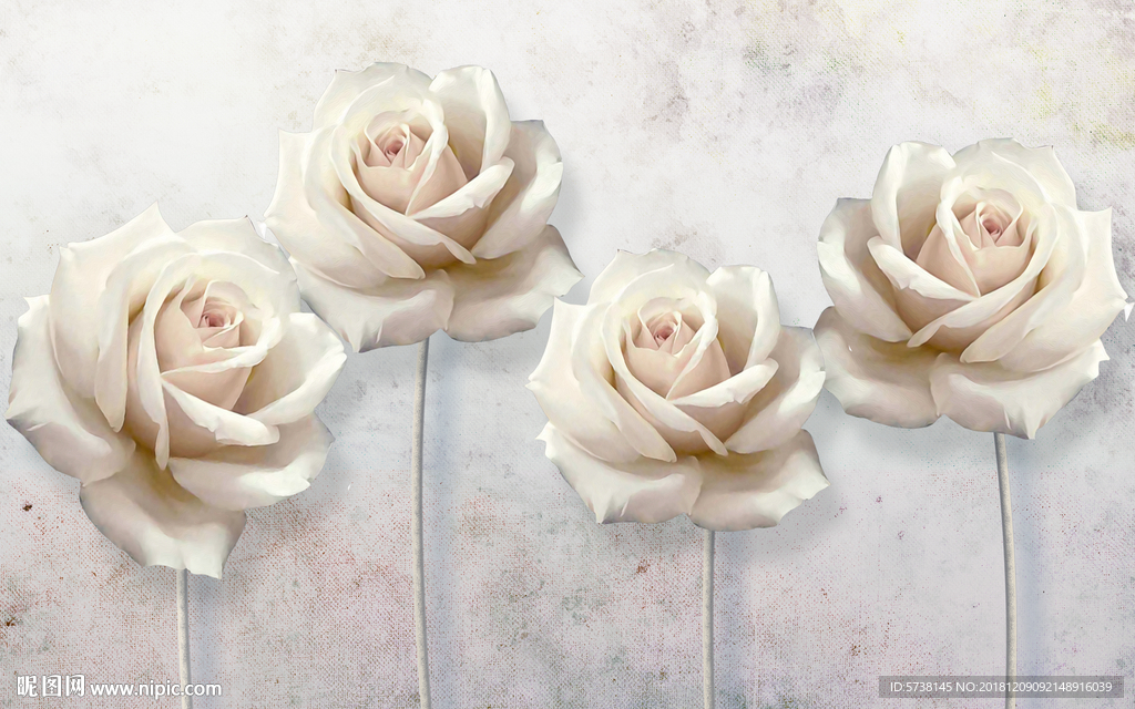 唯美白玫瑰立体花朵玄关屏风背景