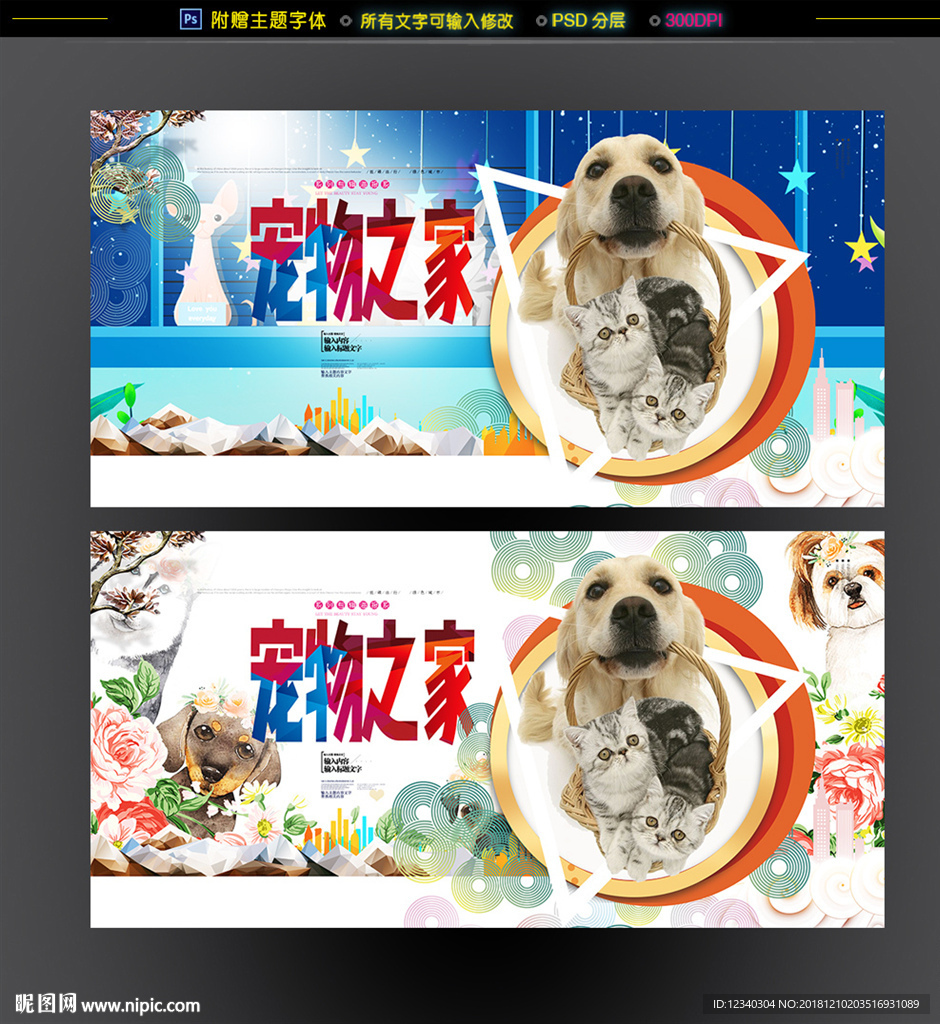宠物