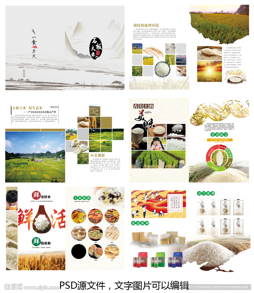 大米画册 粮食画册 五谷画册