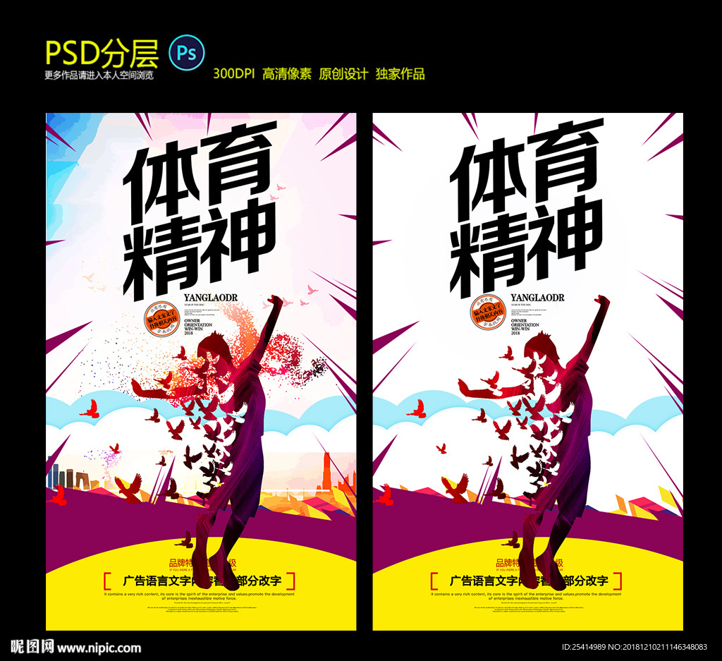 体育文化