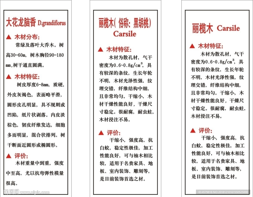 地板介绍
