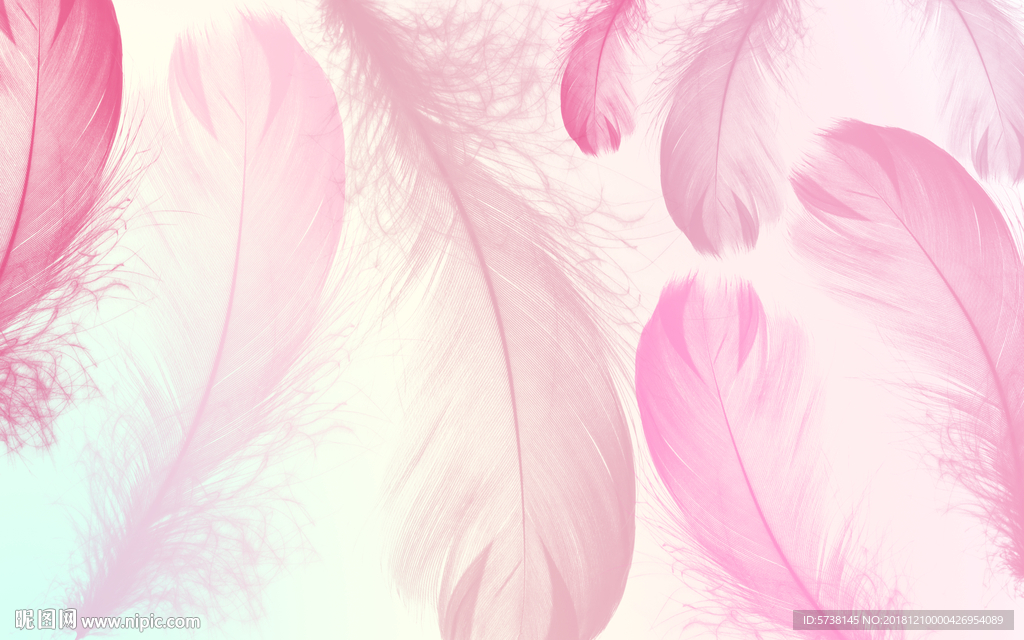 粉色羽毛玄关屏风背景底纹素材艺