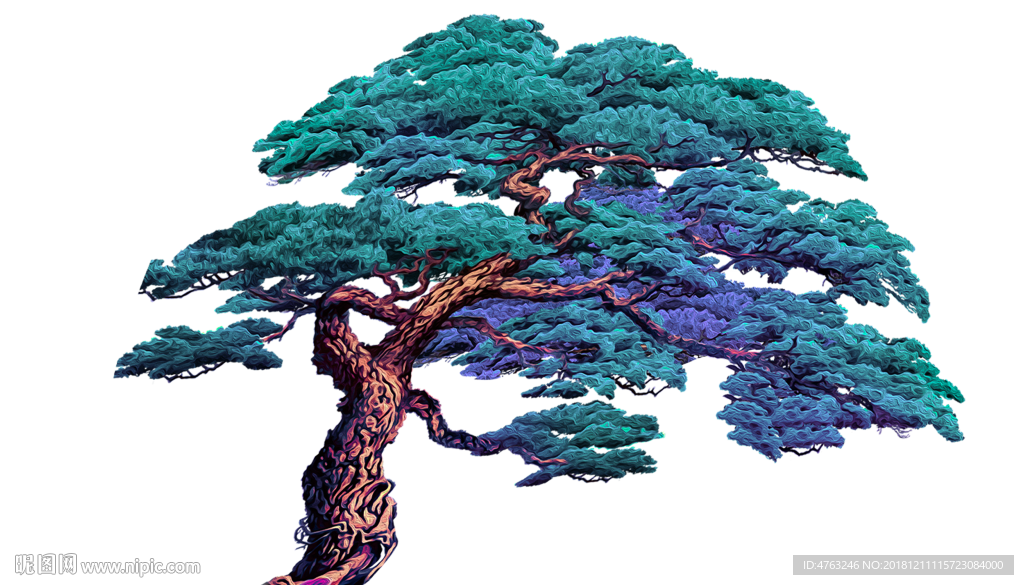松树插画