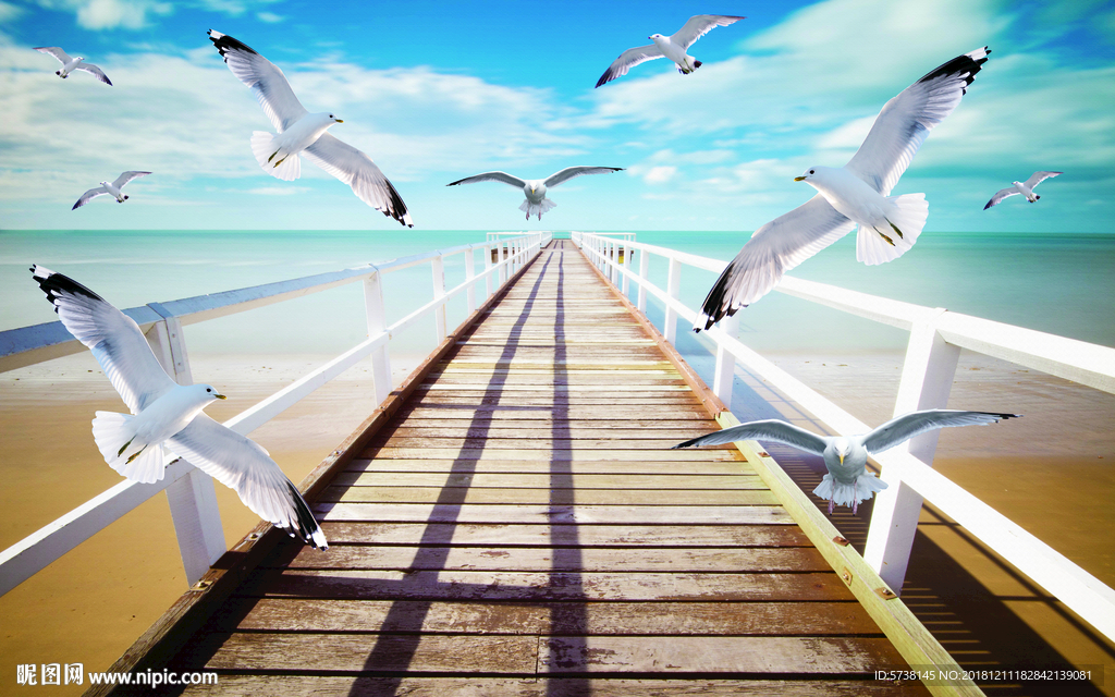 海景海鸥玄关屏风背景底纹素材艺