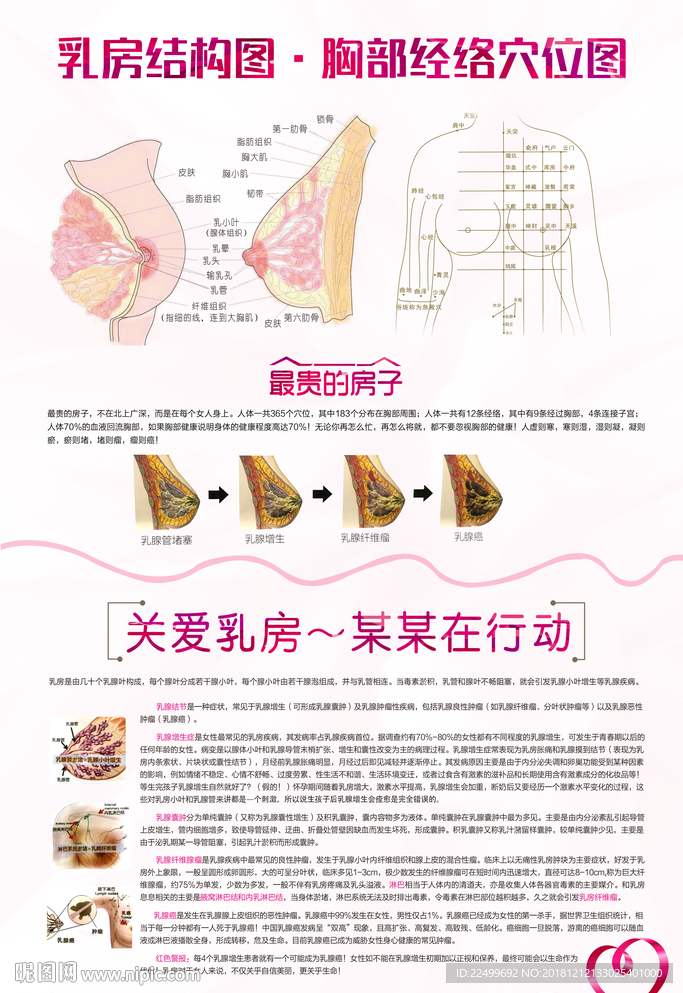 乳腺知识海报