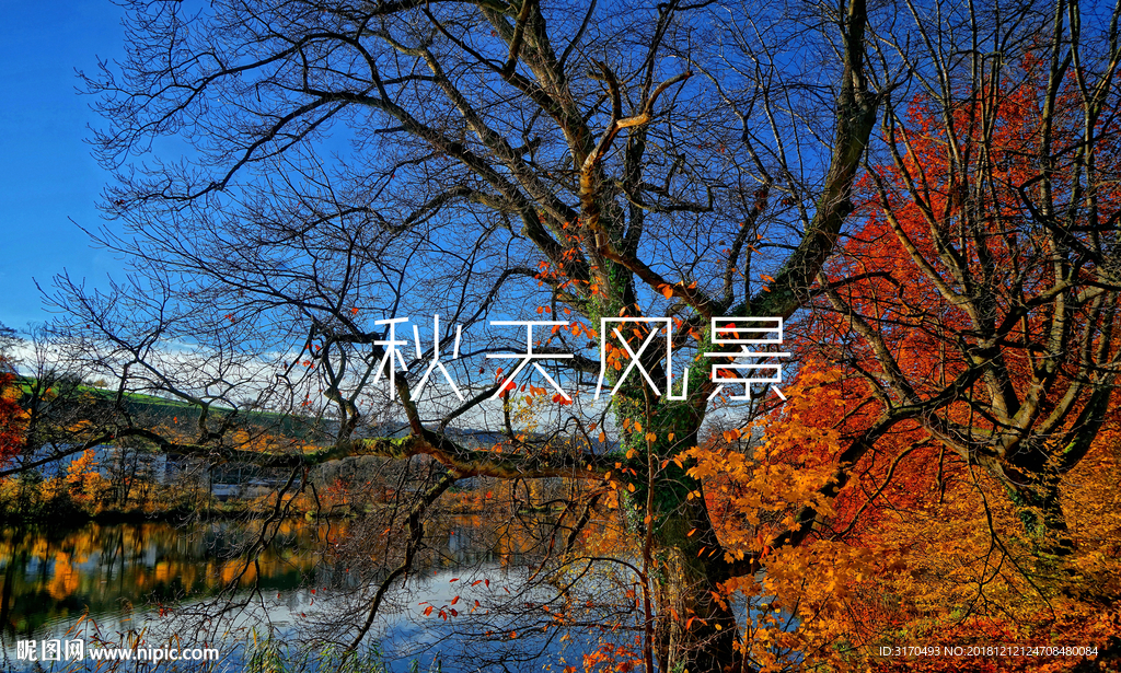 秋天风景