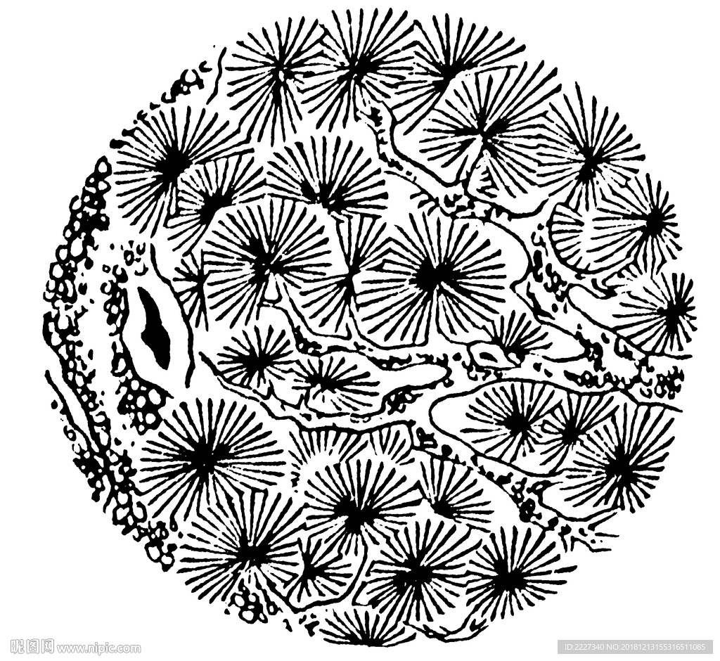 吉祥图案 中国纹样 吉祥底纹