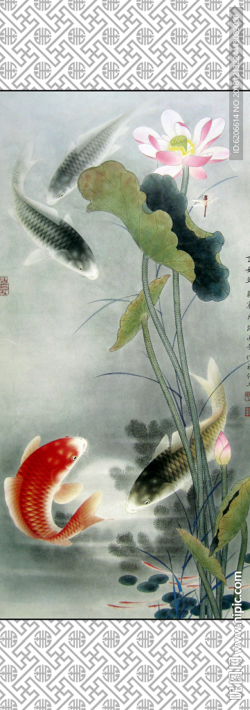 荷花鱼