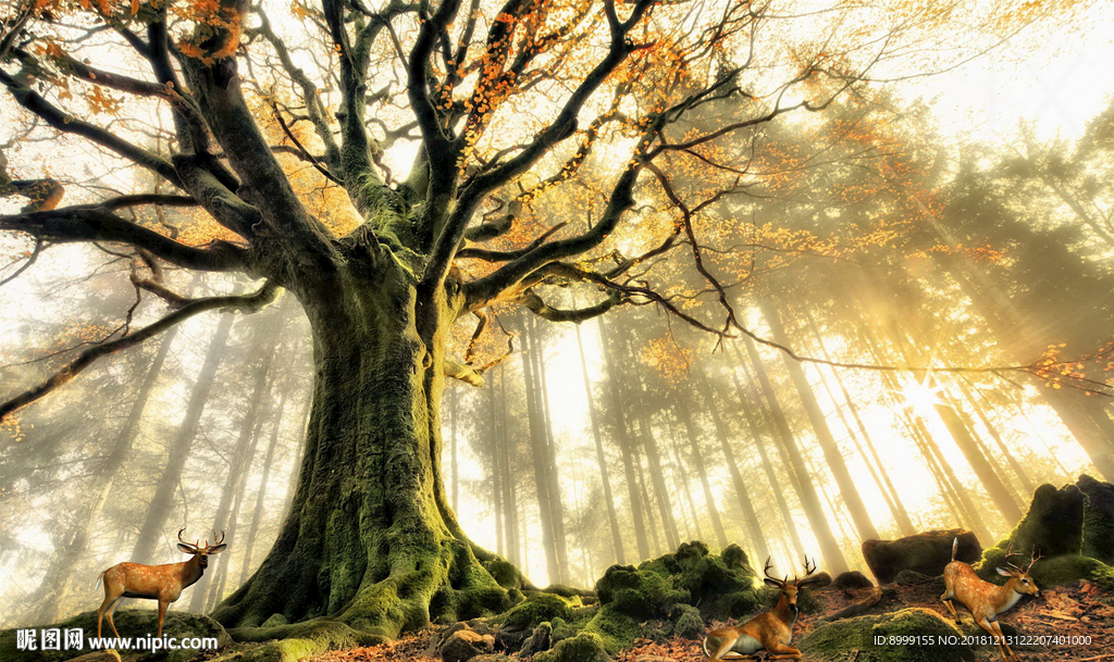 神秘森林仙境电视背景墙