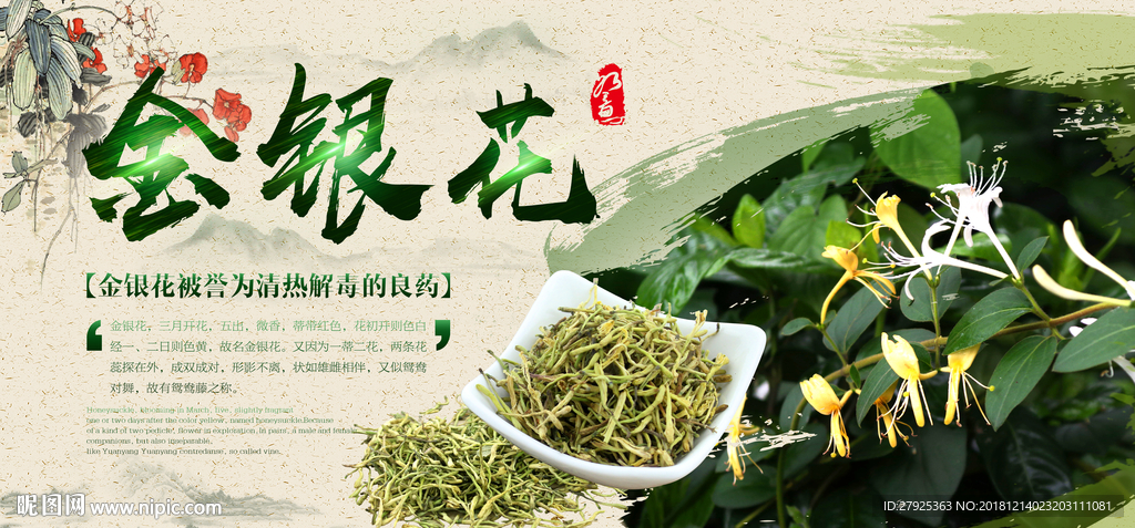 金银花