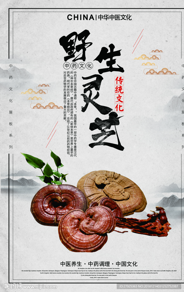 灵芝