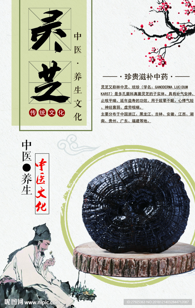 灵芝
