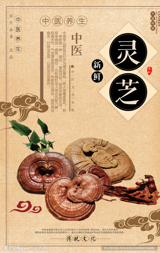 灵芝