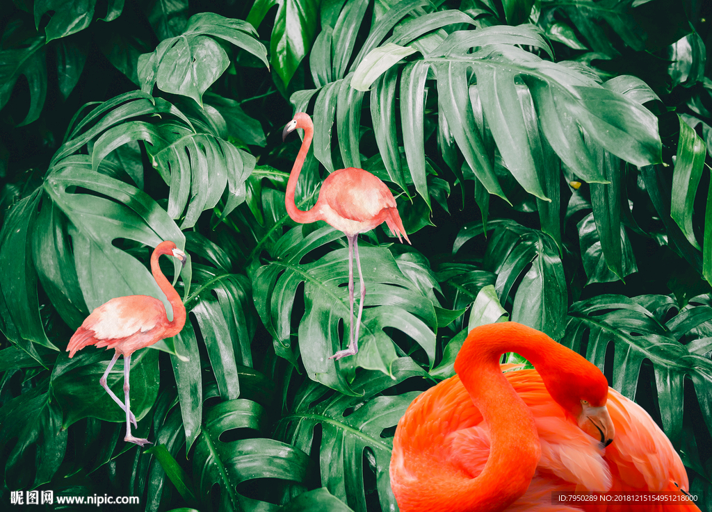 火烈鸟背景墙