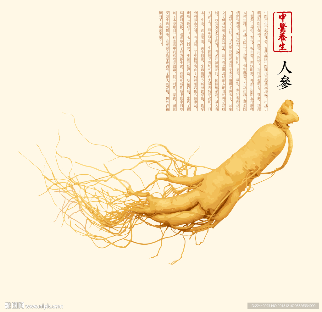 人参 药材