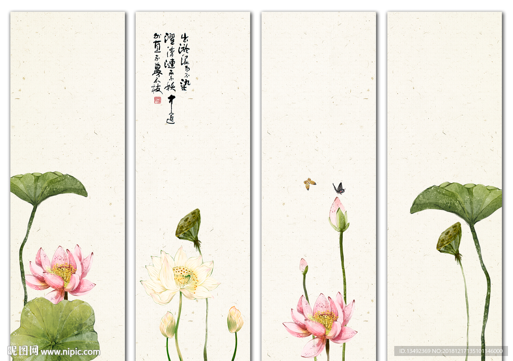 荷花