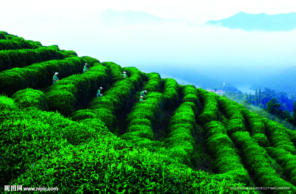 汉中风景