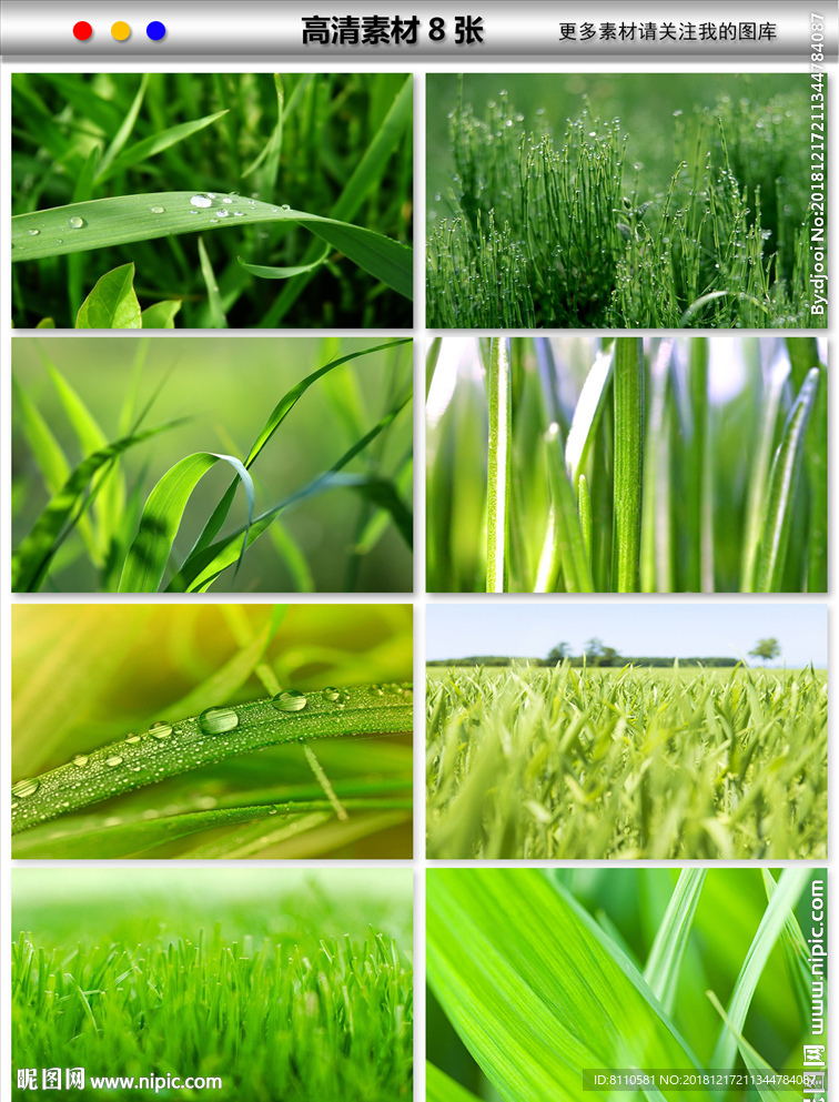 绿色树叶清晨水滴草地草坪海报