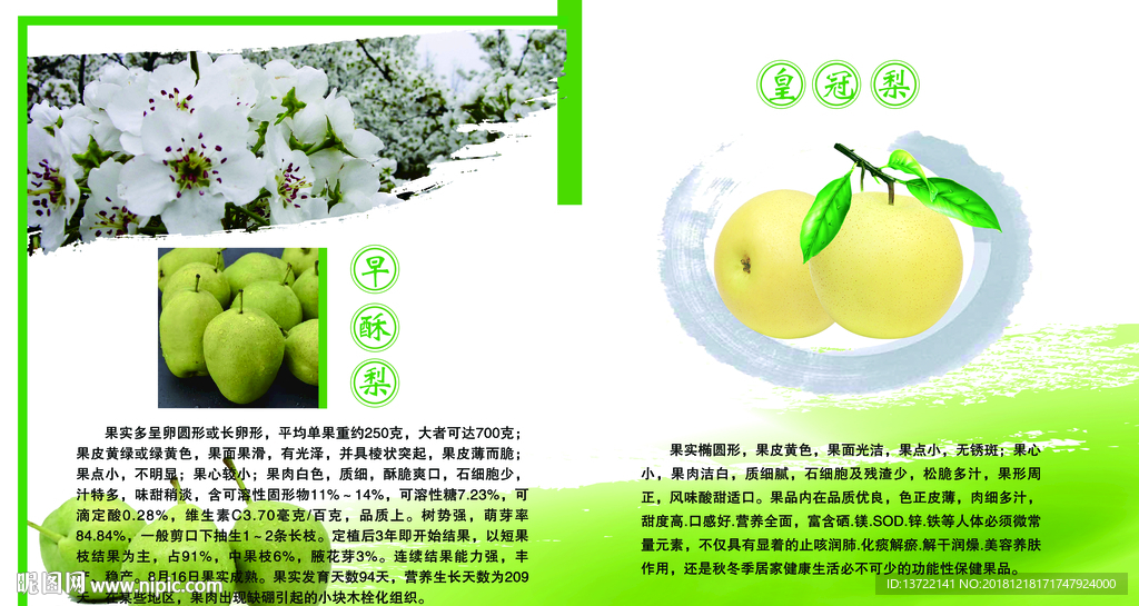 皇冠梨