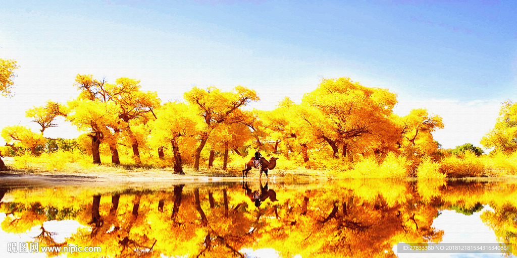 黄叶风景图