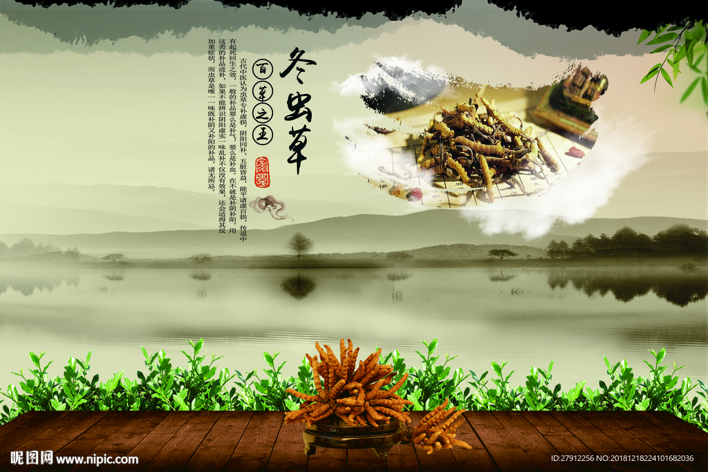 冬虫草背景墙