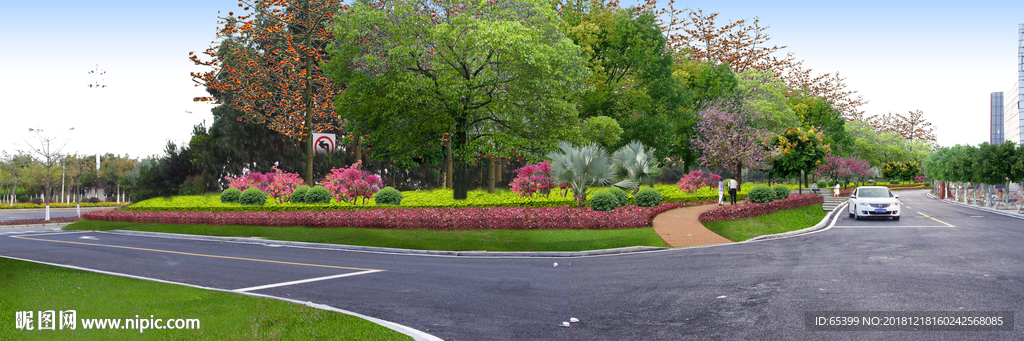 园区道路边分带组合绿化节效果图