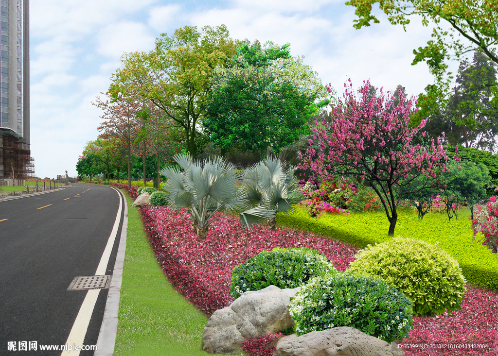 园区道路边分带组合绿化效果图