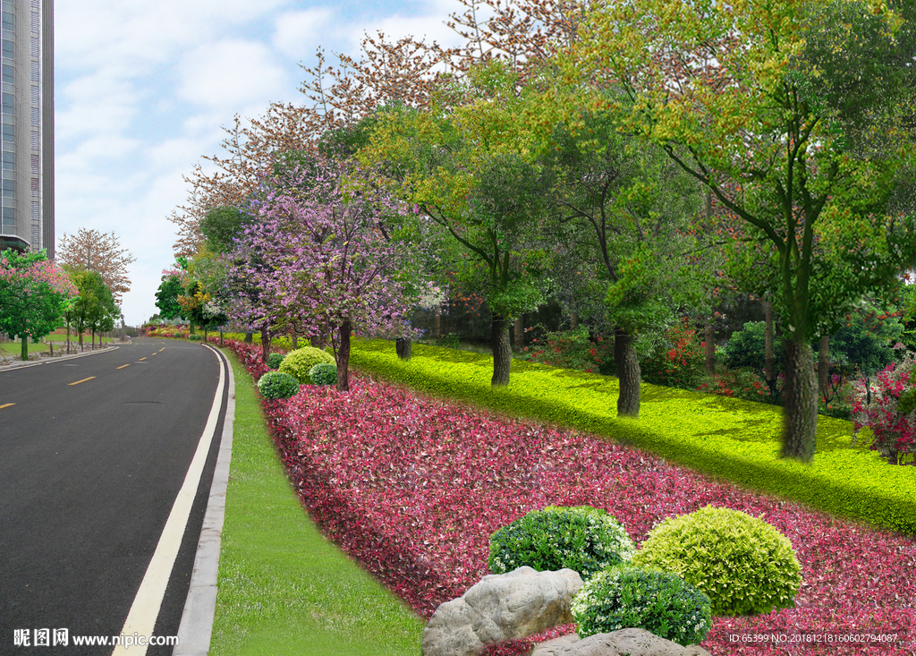 园区道路边分带绿化效果图