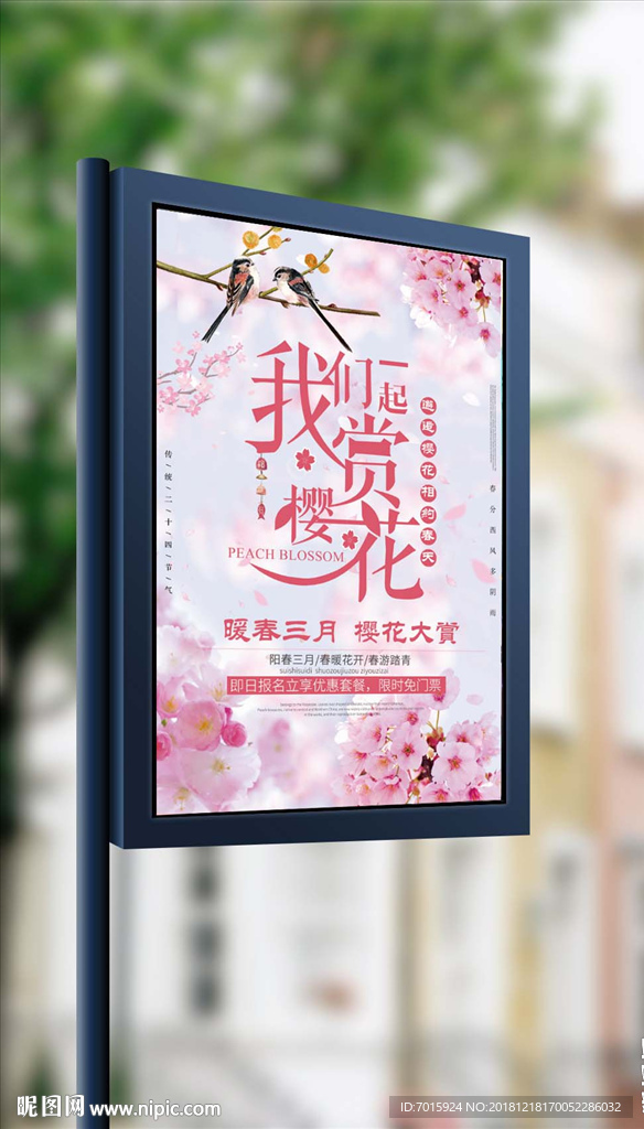 春季赏樱花春天海报设计模板