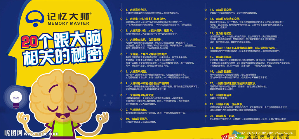 大脑秘密