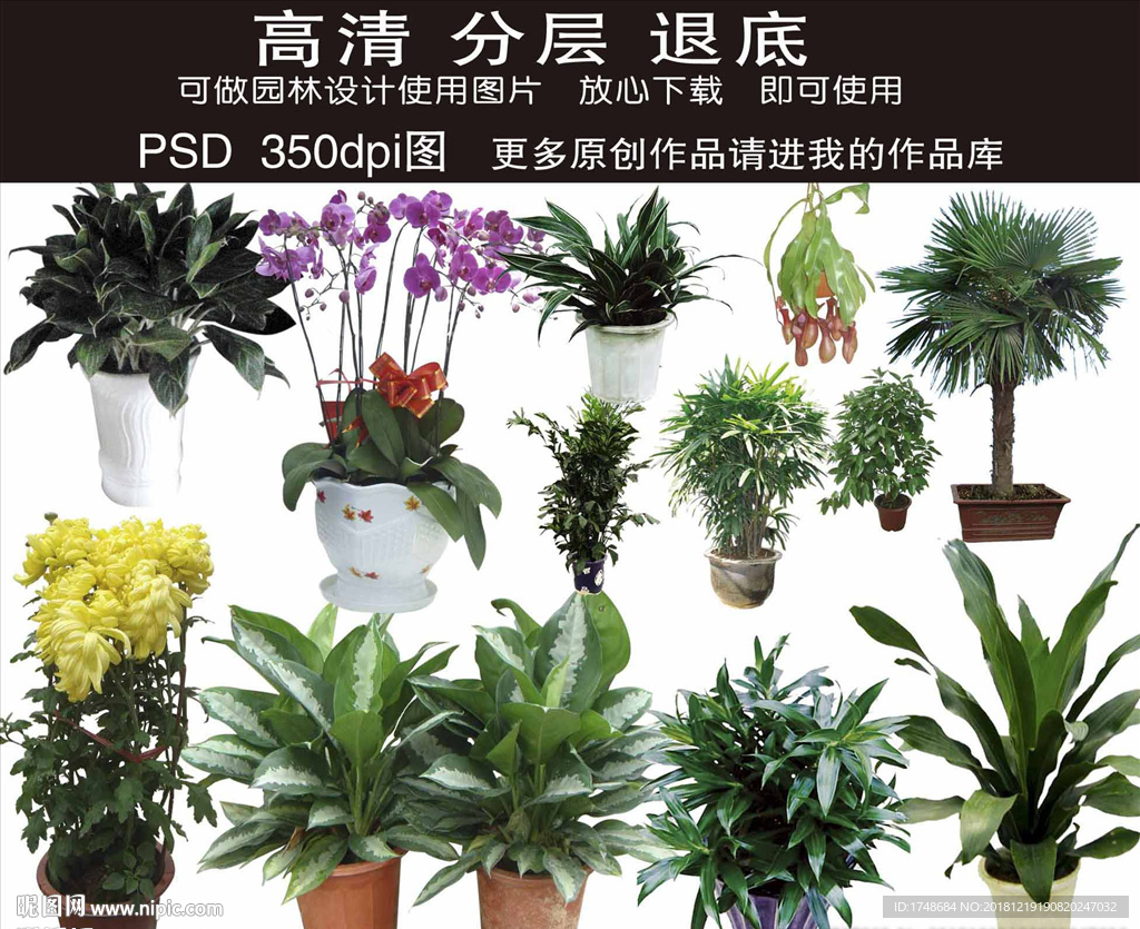 园林设计元素 PSD素材