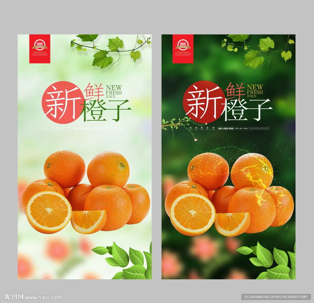 进口冰糖橙海报