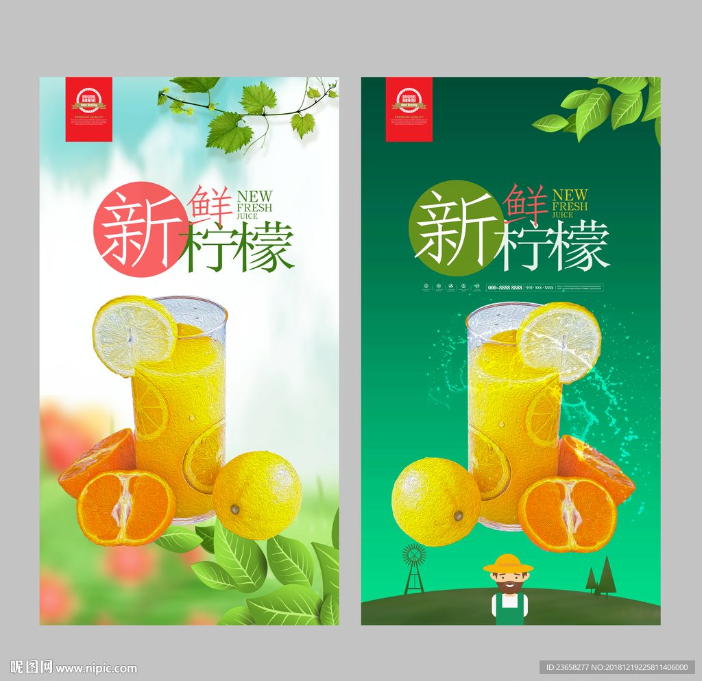 有机橙子海报
