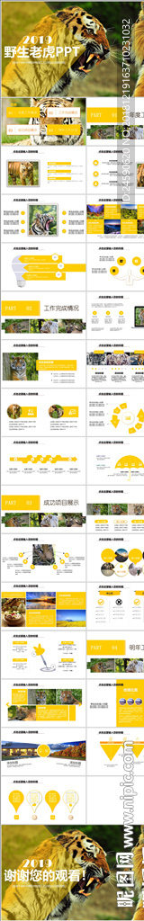 野生保护动物凶猛老虎动态ppt