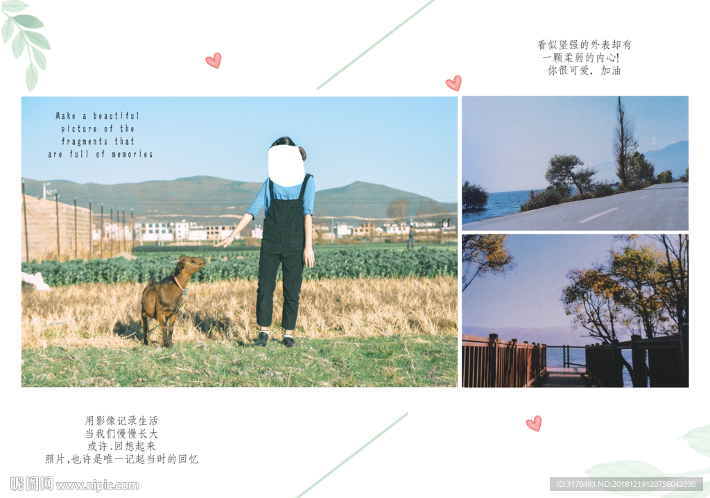 写真摄影 写真模板