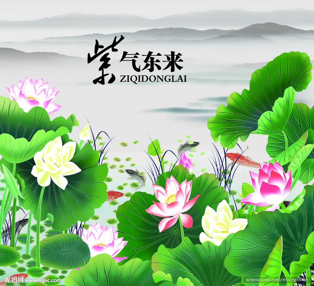 荷花海报