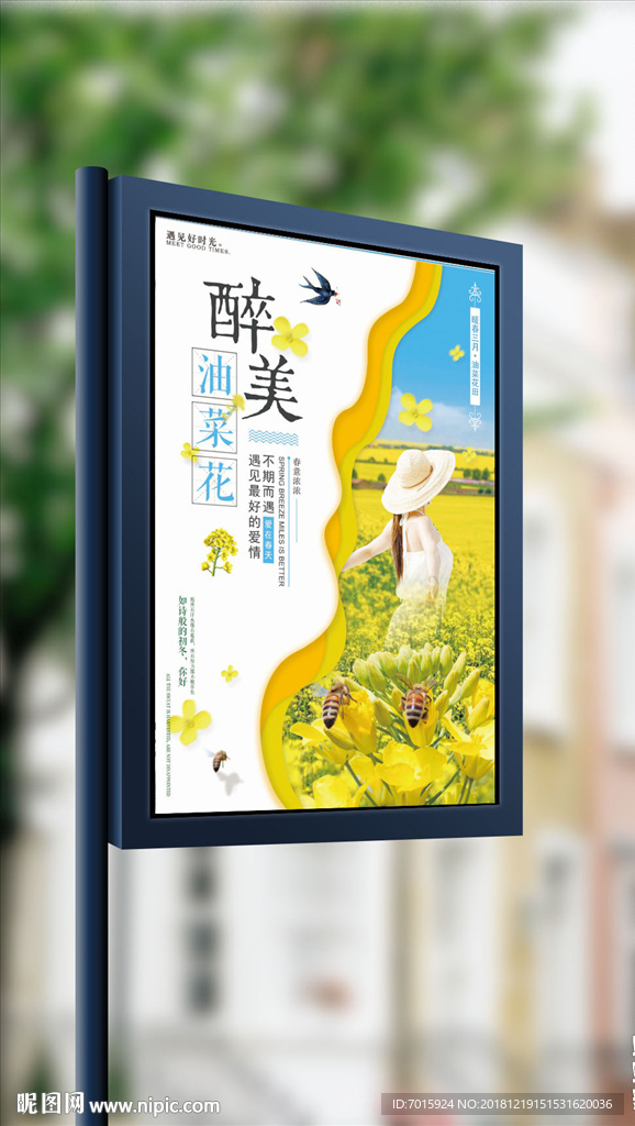 油菜花观赏旅游季春天海报