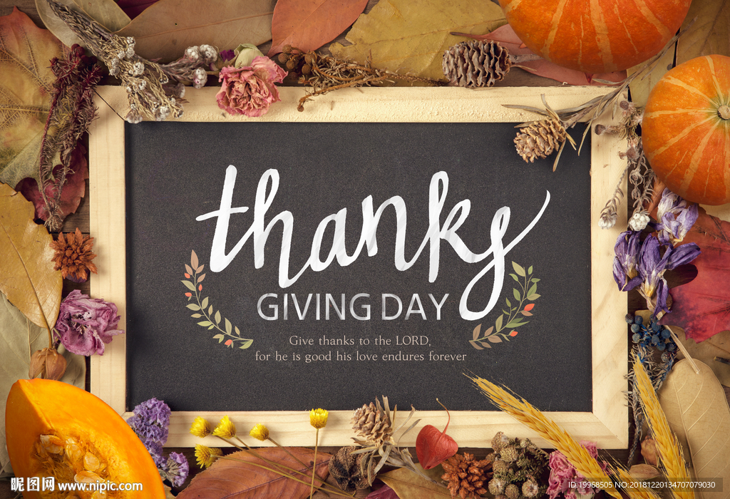 感恩节展板