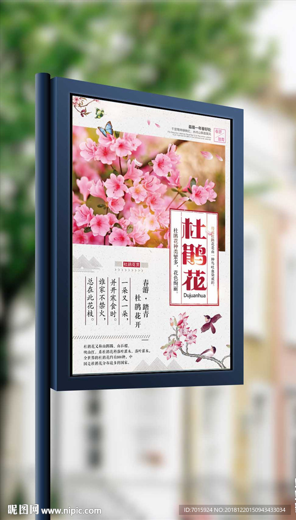 春季赏杜鹃花春暖花开赏花季海报