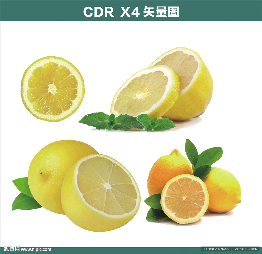 柠檬矢量素材