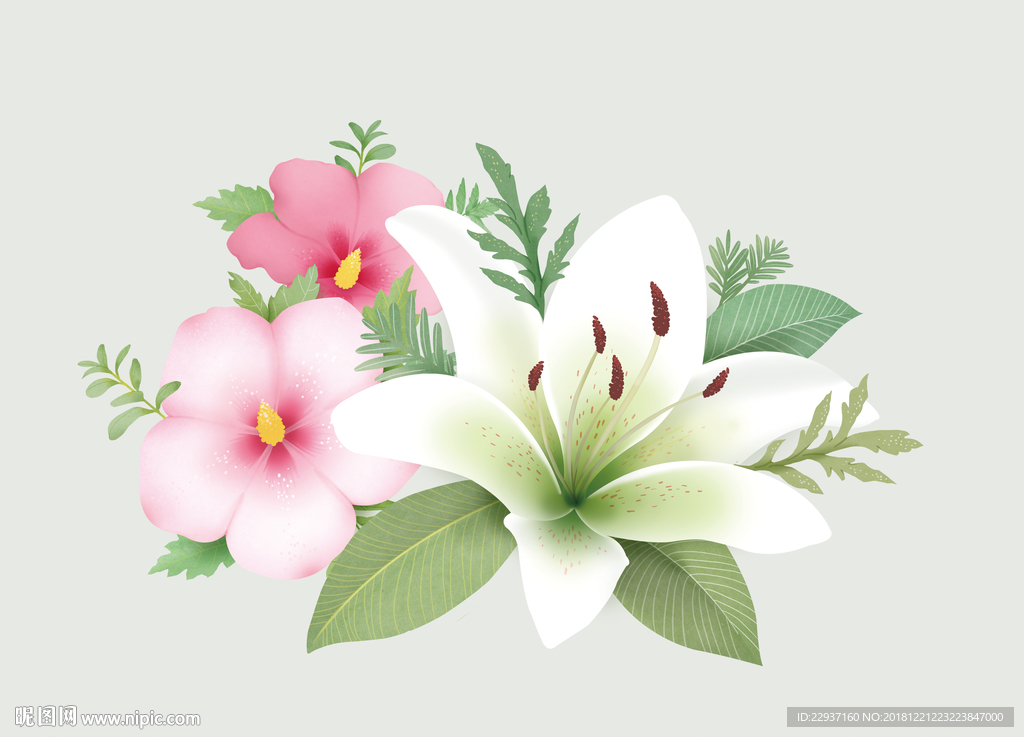 高清分层手绘花