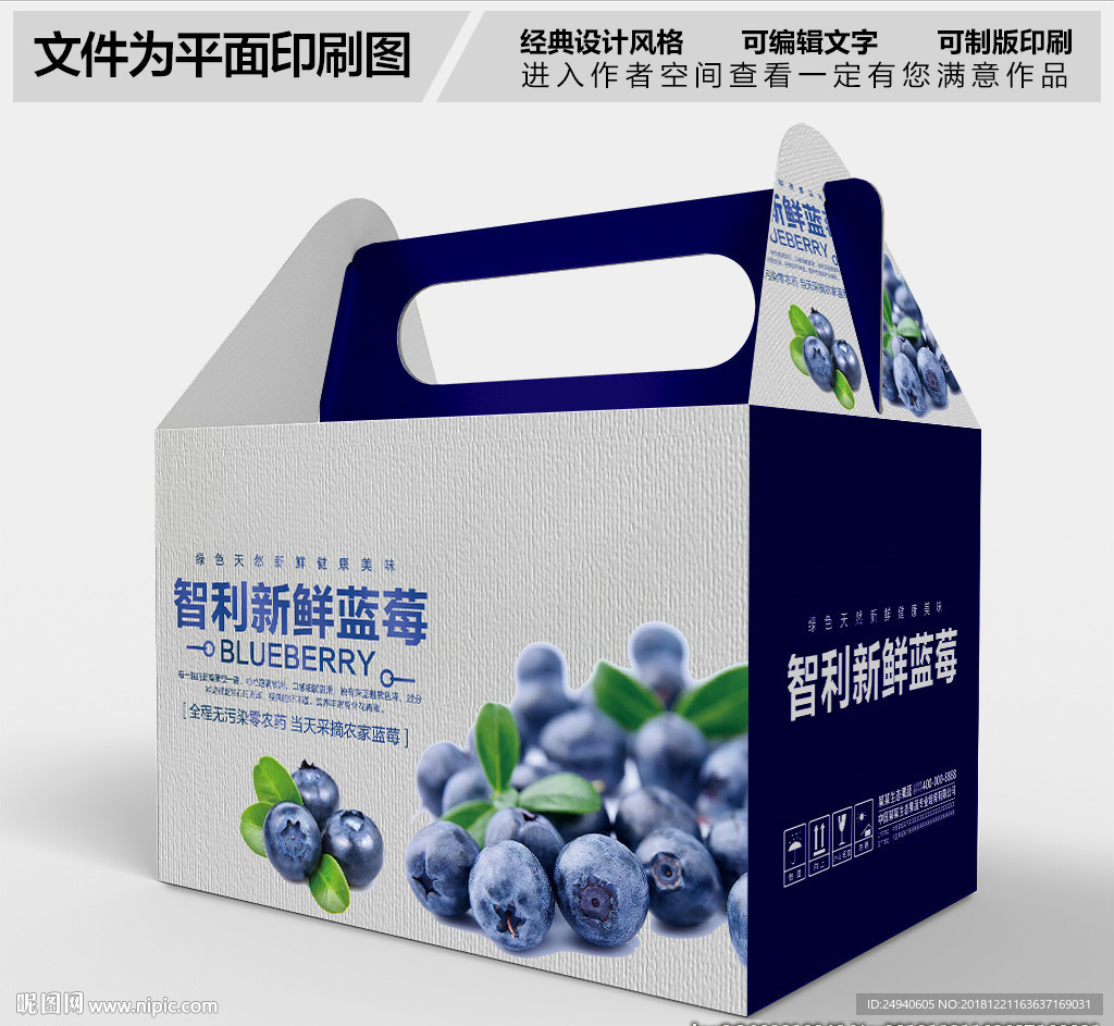 蓝莓礼盒包装设计