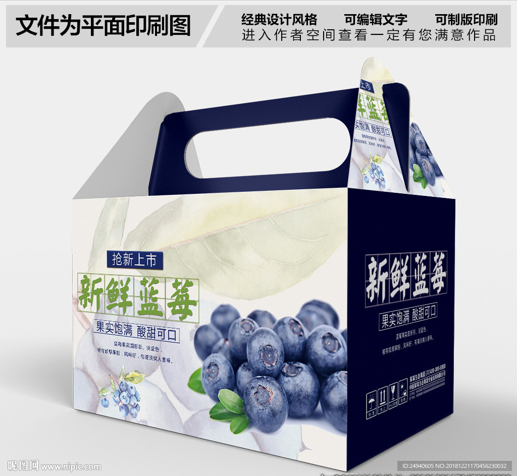 新鲜蓝莓包装设计PSD