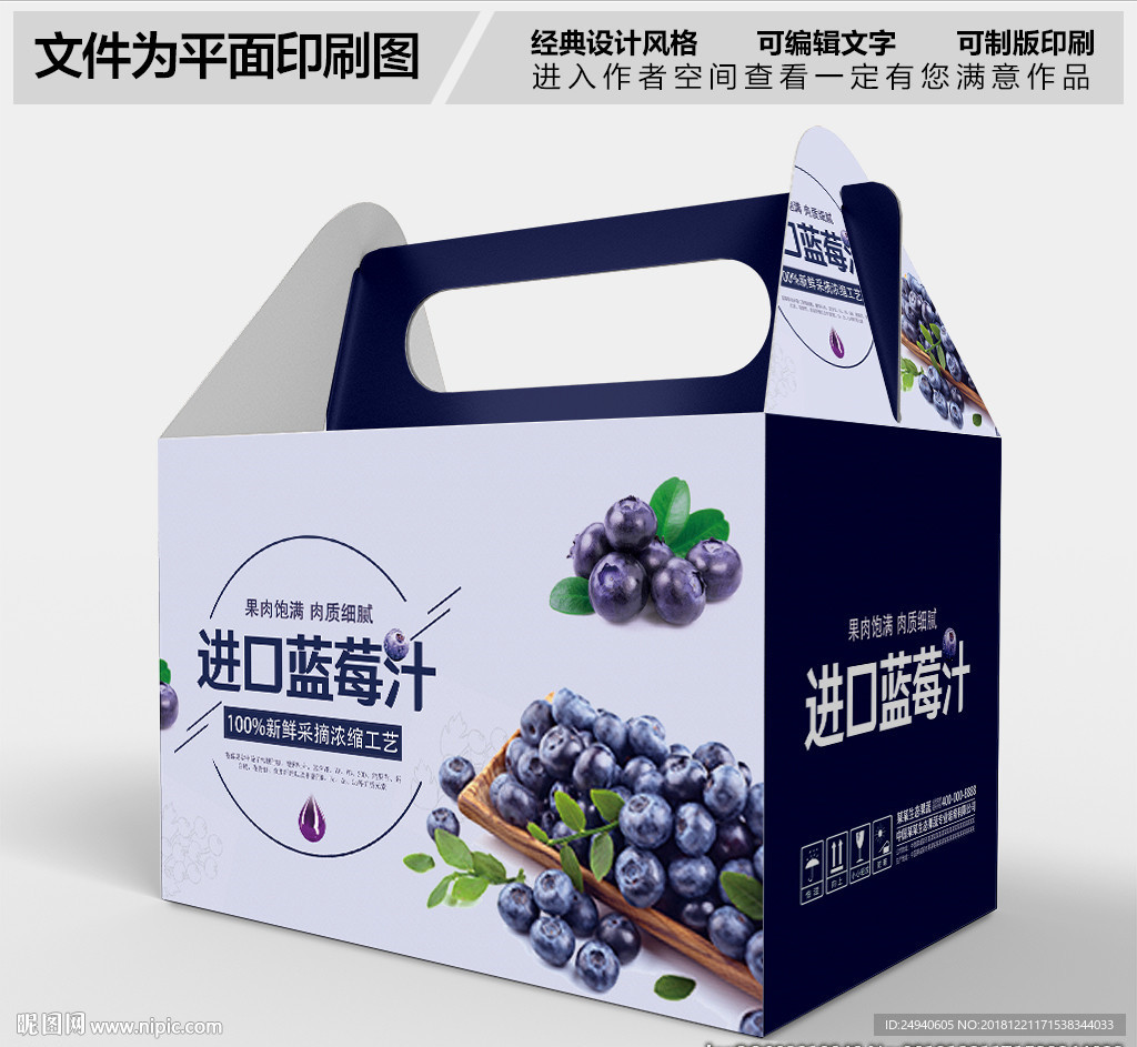 简约风格蓝莓包装设计PSD