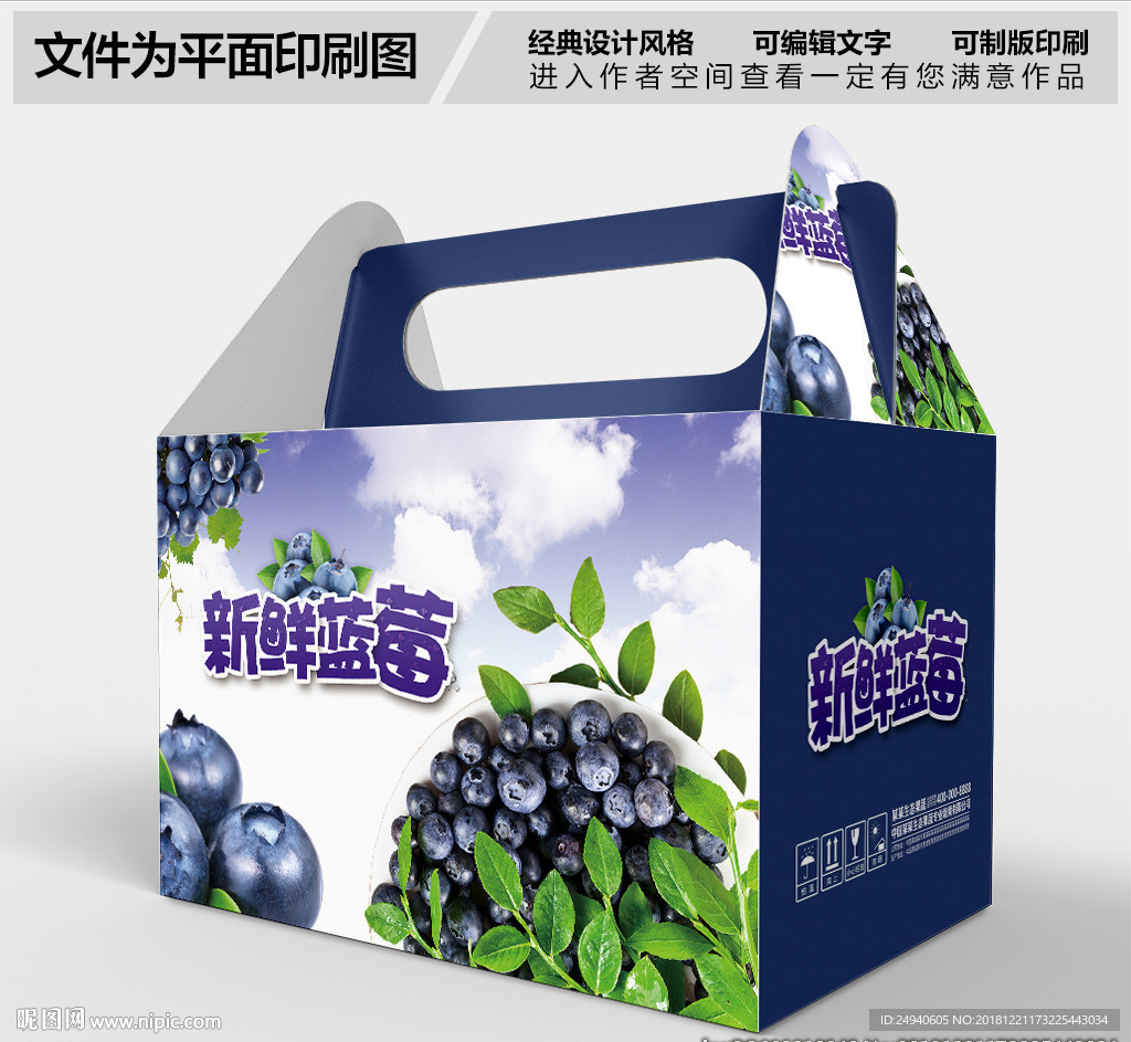 新鲜蓝莓包装盒设计